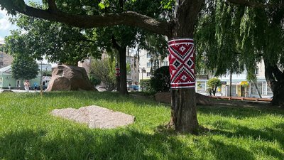 Дерева на центральній вулиці Звягеля прикрасили вишитими орнаментами Дерева на центральній вулиці Звягеля прикрасили вишитими орнаментами