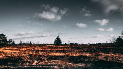 На Черкащині горять торфовища