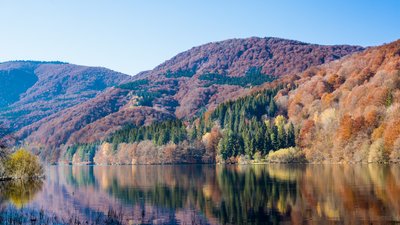 На водоймах Закарпаття завершилась нерестова заборона