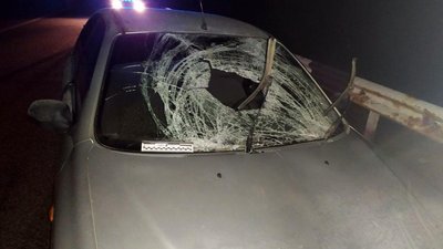 На Донеччині легковик насмерть збив 35-річного чоловіка. ФОТО На Донеччині легковик насмерть збив 35-річного чоловіка. ФОТО