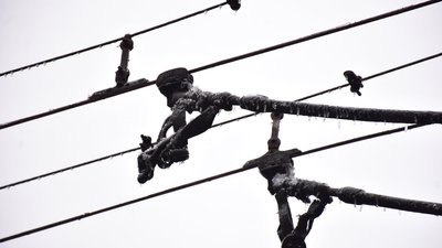 Чернігівські тролейбуси повернуться на маршрути ближче до вечора Чернігівські тролейбуси повернуться на маршрути ближче до вечора