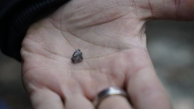 Наслідки удару по центру Харкова 5 лютого: фото