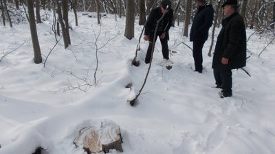 На Прикарпатті лісгосп завдав збитків довкілю на мільйон гривень На Прикарпатті лісгосп завдав збитків довкілю на мільйон гривень