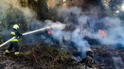 На Черкащині за добу ліквідували сім пожеж На Черкащині за добу ліквідували сім пожеж