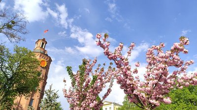 Вінницька вежа