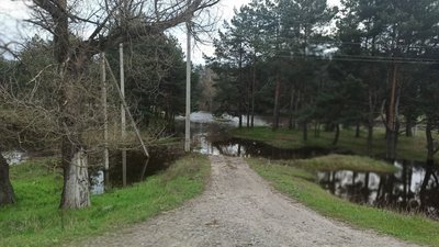 Затоплені пляжі, пасовища, дороги й дачні будинки: наслідки паводка у двох громадах Кіровоградщини Затоплені пляжі, пасовища, дороги й дачні будинки: наслідки паводка у двох громадах Кіровоградщини