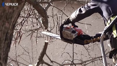 У Черкасах проводять санітарну обрізку дерев
