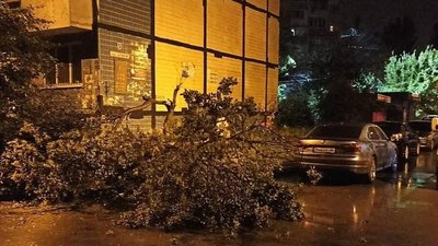 У Дніпрі рятувальники прибрали повалені через негоду дерева У Дніпрі рятувальники прибрали повалені через негоду дерева