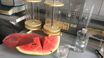 У Житомирі лабораторний центр безкоштовно перевірятиме овочі і фрукти на вміст нітратів У Житомирі лабораторний центр безкоштовно перевірятиме овочі і фрукти на вміст нітратів