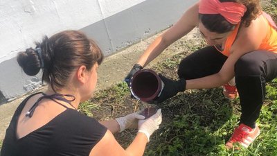 Волиняни заквітчали чорнобривцями 2 кілометри дороги Волиняни заквітчали чорнобривцями 2 кілометри дороги