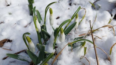 Якою буде погода у Харкові та області наприкінці зими: прогноз на 26-28 лютого