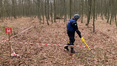 Рятувальники Черкащини ліквідували гранату часів війни