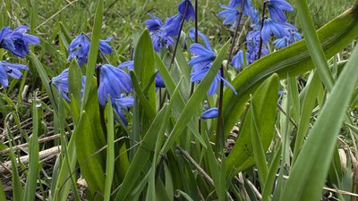 Парк Ювілейний у Краматорську