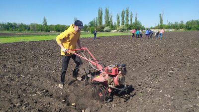 Бобринецькі "Сади перемоги". У місті посадили два гектрари городини та 33 дерева Бобринецькі "Сади перемоги". У місті посадили два гектрари городини та 33 дерева