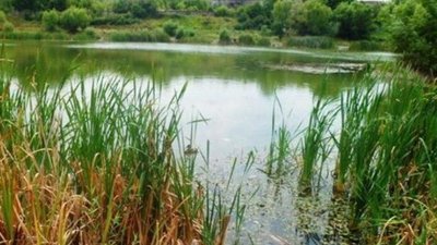 На Чернігівщині у ставку потонув 45-річний чоловік