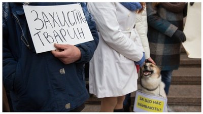 Петиція про створення зоополіції на сайті Запорізької міськради набрала необхідну кількість голосів