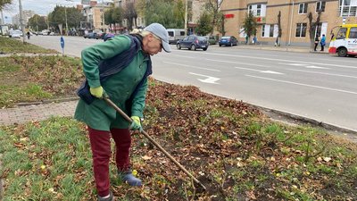У Вінниці майже 15 тисяч кущів троянд готують до зими