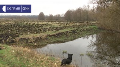 На Сумщині розорюють прибережну захисну смугу: поліція відкрила провадження На Сумщині розорюють прибережну захисну смугу: поліція відкрила провадження