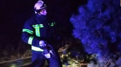 В чотирьох селах на Волині вітер повалив дерева В чотирьох селах на Волині вітер повалив дерева