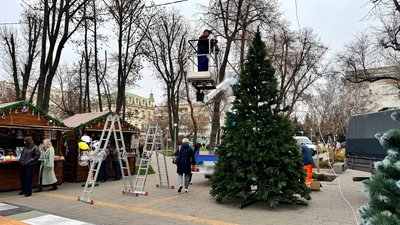 У кропивницькому сквері встановили ялинку: коли відкриватимуть