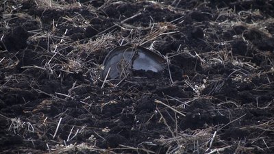 На Донеччині почнуть розміновувати поля На Донеччині почнуть розміновувати поля