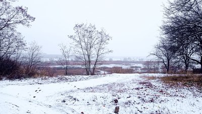 Сумщину засипало снігом. Фото читачів Суспільного Суми