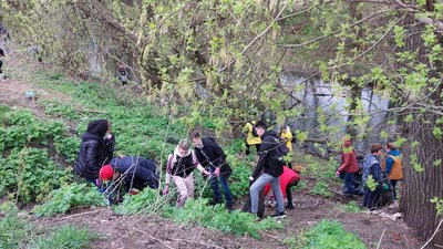 Майже 80 пакетів побутового сміття зібрали на толоці у Сумах Майже 80 пакетів побутового сміття зібрали на толоці у Сумах