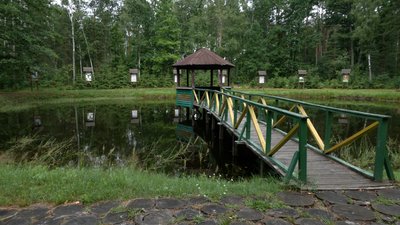 Рекреаційні пункти біля доріг: де в лісах Чернігівщини можна відпочивати