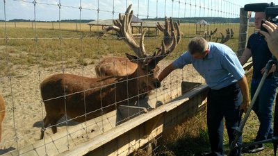 Туристичний маршрут Волині: ферма з благородними оленями Туристичний маршрут Волині: ферма з благородними оленями