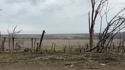 Як чергує антидроновий загін "Азову": репортаж Як чергує антидроновий загін "Азову": репортаж