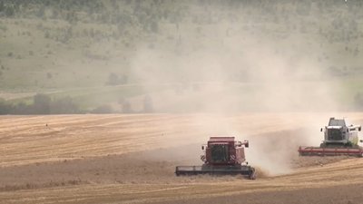 На Прикарпатті зібрали понад 453 тисячі тонн зернових На Прикарпатті зібрали понад 453 тисячі тонн зернових