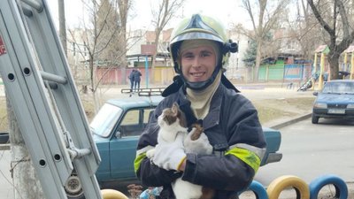 У Запоріжжі врятували котика