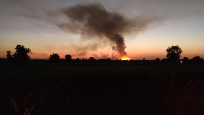 Шкода довкіллю від атаки РФ на Чернігівщині: у Ніжинському районі шкода понад 2 млн грн