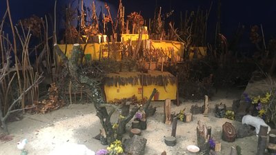 На Житомирщині француз створив Різдвяний вертеп у теплиці На Житомирщині француз створив Різдвяний вертеп у теплиці