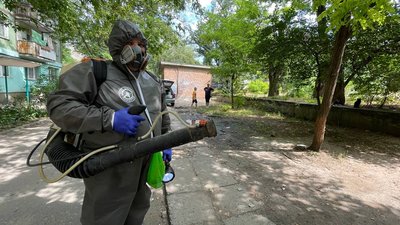 Таргани, миші та блохи. У Миколаєві жителі почали боротьбу зі шкідниками у підвалах Таргани, миші та блохи. У Миколаєві жителі почали боротьбу зі шкідниками у підвалах