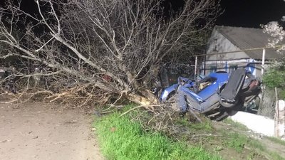 Загинув у кареті "швидкої": на Одещині автівка в'їхала в дерево