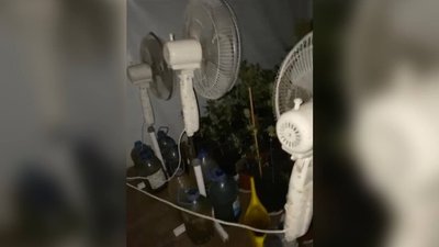 Франківець на горищі квартири облаштував теплицю для вирощування коноплі Франківець на горищі квартири облаштував теплицю для вирощування коноплі