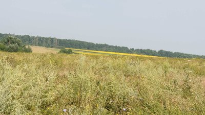 "Продавати землю не плануємо, для громади це невигідно",— сільський голова громади на Кіровоградщині
