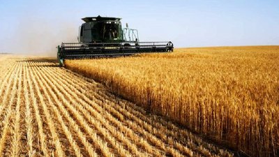 У Черкаській області завершують збір зернових та зернобобових культур