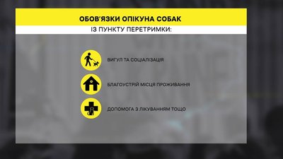 У Полтаві можна стати опікуном для безпритульних собак: для чого та що це означає У Полтаві можна стати опікуном для безпритульних собак: для чого та що це означає