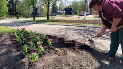 У Кропивницькому поцупили майже 2 тисячі квітів з міських клумб
