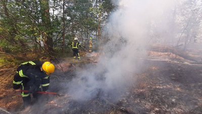 У Запоріжжі рятувальники ліквідували пожежу на відкритій місцевості — ДСНС