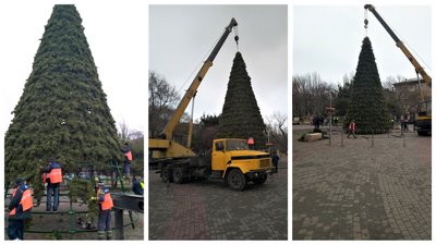 У Запоріжжі почали встановлювати центральну ялинку У Запоріжжі почали встановлювати центральну ялинку