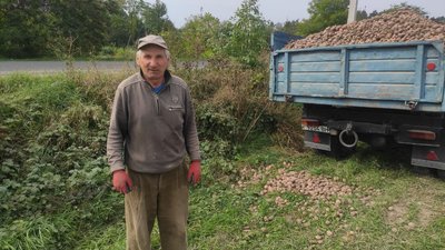 На Волині – сезон збору овочів: як вродили та скільки коштують На Волині – сезон збору овочів: як вродили та скільки коштують