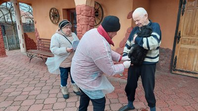 Вакцинація тварин у Городоцькому районі Вакцинація тварин у Городоцькому районі