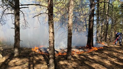 На Миколаївщині горів Балабанівський ліс