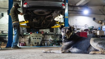 У дніпровському автосервісі безкоштовно ремонтують автівки для фронту У дніпровському автосервісі безкоштовно ремонтують автівки для фронту