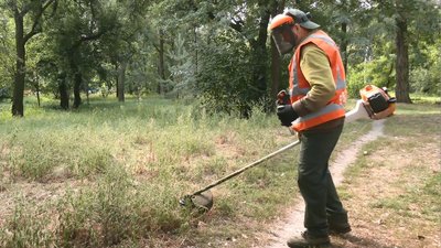 Лікуватися потрібно весь рік – удвічі більше черкащан-алергіків звертаються до медиків Лікуватися потрібно весь рік – удвічі більше черкащан-алергіків звертаються до медиків