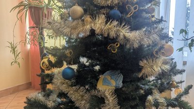 Коляда, олів'є та новорічні ялинки: як у волиснькому госпіталі підтримують настрій ветеранів війни Коляда, олів'є та новорічні ялинки: як у волиснькому госпіталі підтримують настрій ветеранів війни