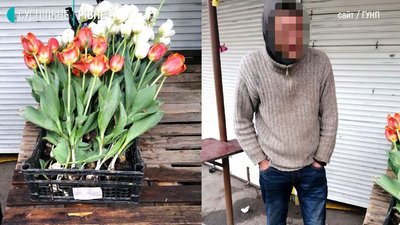 Суд Рівного не став арештовувати чоловіка, якого тричі ловили на крадіжці тюльпанів Суд Рівного не став арештовувати чоловіка, якого тричі ловили на крадіжці тюльпанів